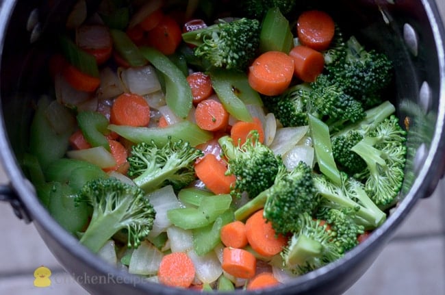 chicken and vegetables in a stock pot